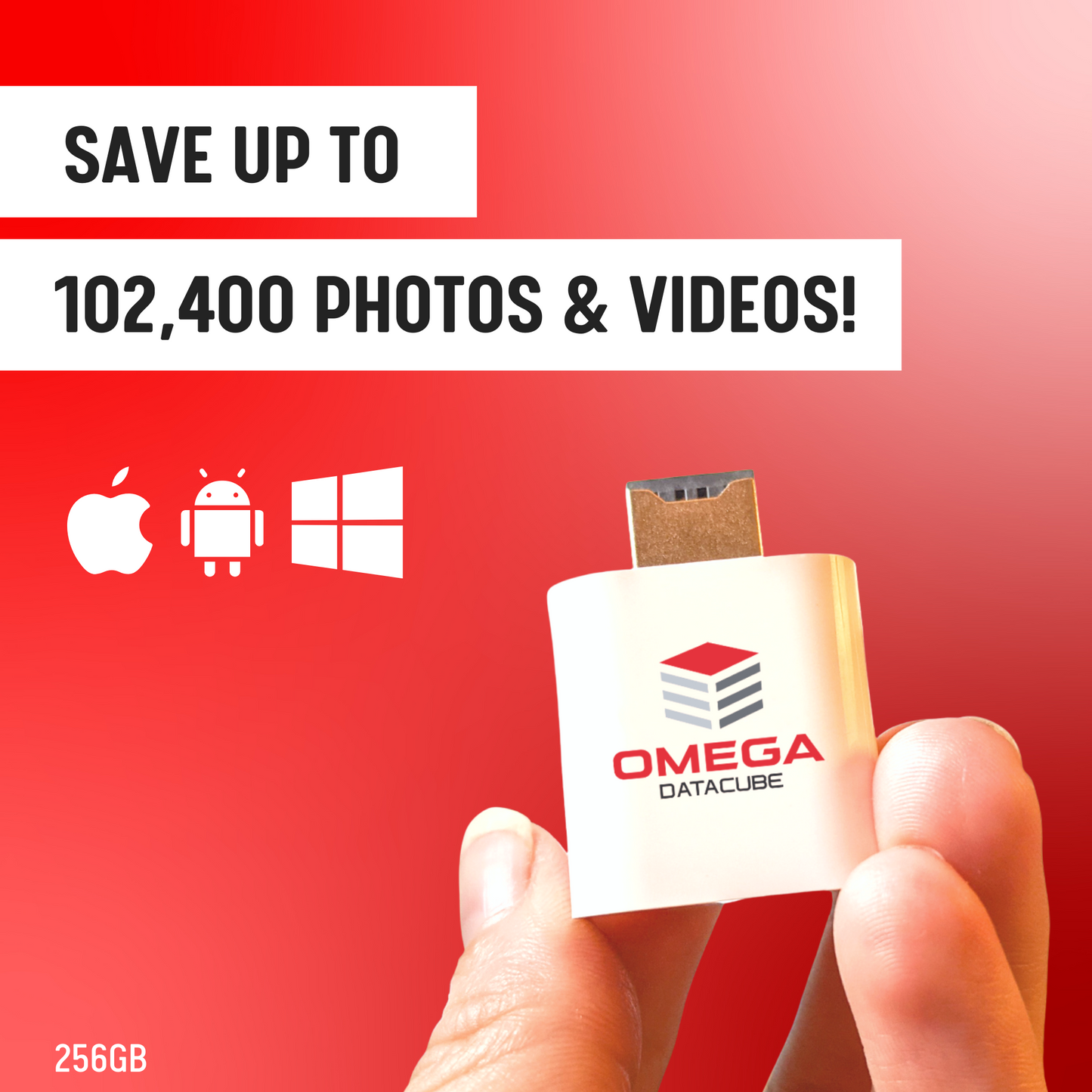 Omega DataCube | 256 GB